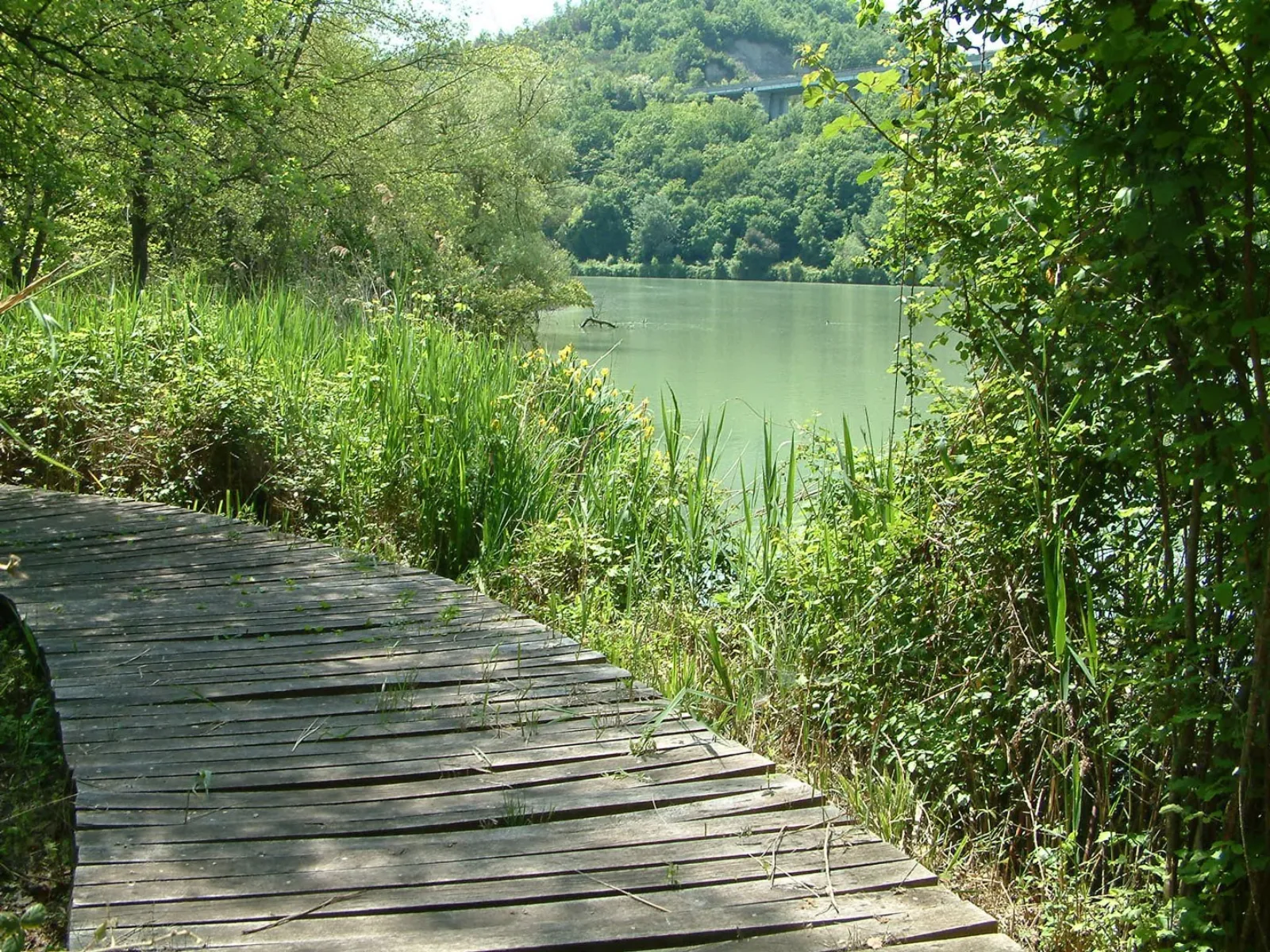 Riserva Naturale Tevere-Farfa