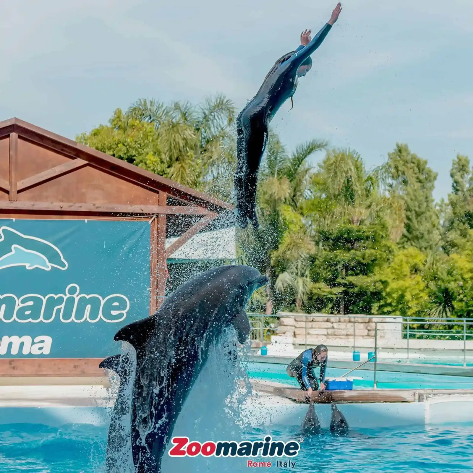 Zoomarine